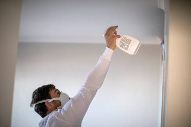 Trusted Manassas, VA Mold Remediation Experts